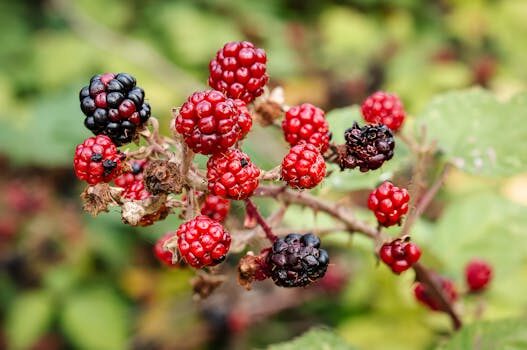 7 stunning drugstore red lip colors under $15