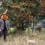 DIY scarecrow Halloween costume + makeup tutorial