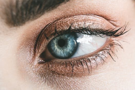 How to apply fake lashes for beginners